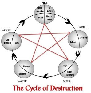 The Cycle of Destruction