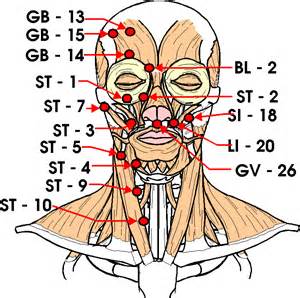 Pressure Points of the head