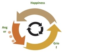 Kyusho Cycle of Emotions
