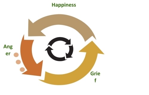 Kyusho Cycle of Emotions - How does it apply to self defense?