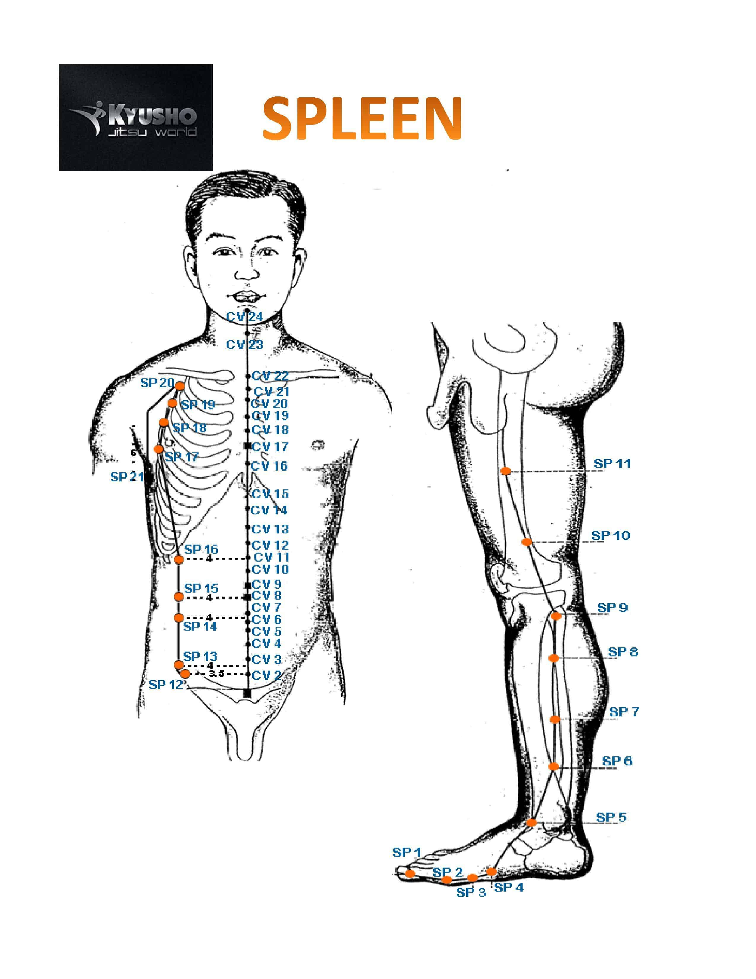 Pressure Point Spleen 6 - AKA "Triple Yin" in Detail!