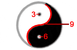 Quantum Kyusho Jitsu & Yin Yang Theories