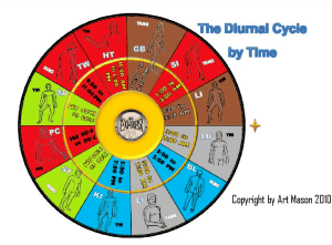 The Kyusho Jitsu 24 Hour Diurnal Cycle 