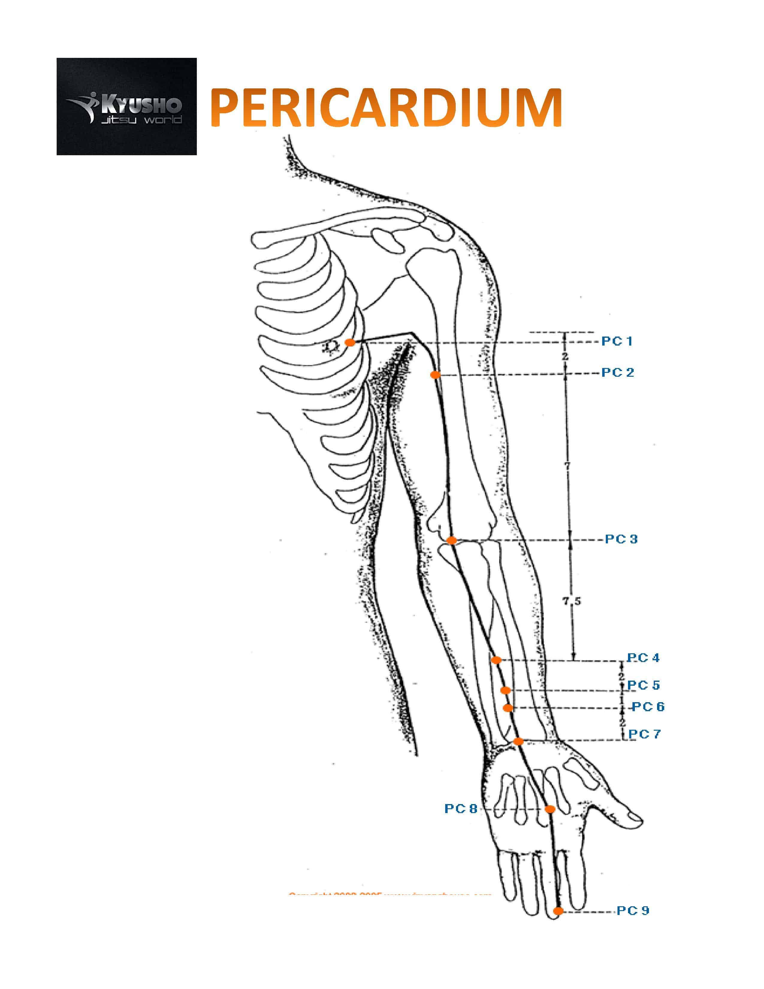 Pressure Point Pericardium 2 - One of the Deadly Pressure Points