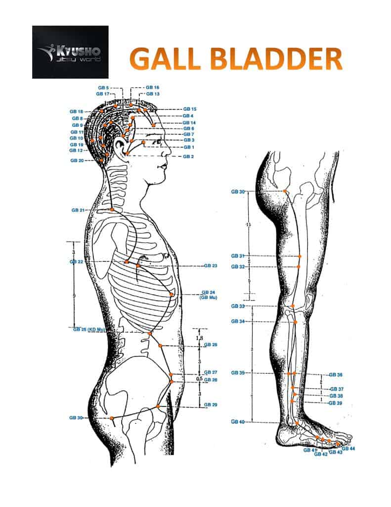 The Gall Bladder Meridian