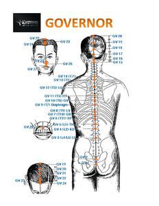The Pressure Point Governor Vessel