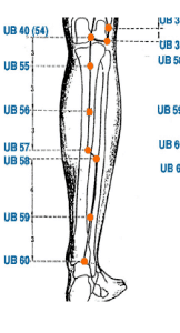Here is Bladder 56 3 Crippling Leg Pressure Points