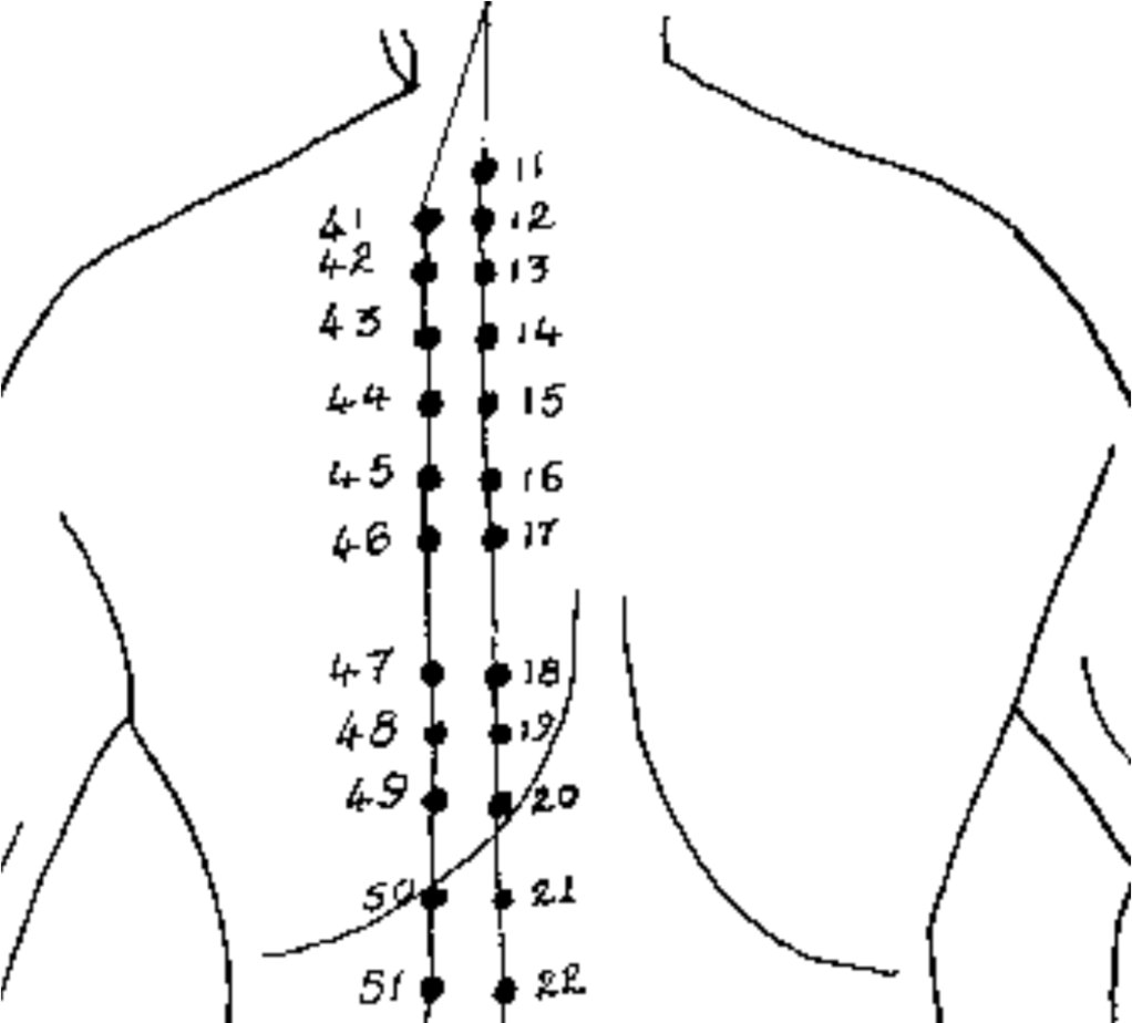 Dangerous Pressure Point BL-15 [Urinary Bladder] The Heart Stopper