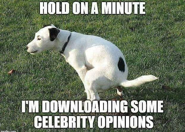 *Value of celebrity opinions