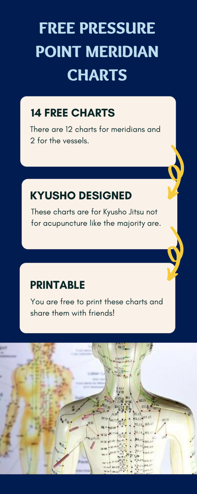 Pressure Point Chart Get Your FREE Copy NOW!!!