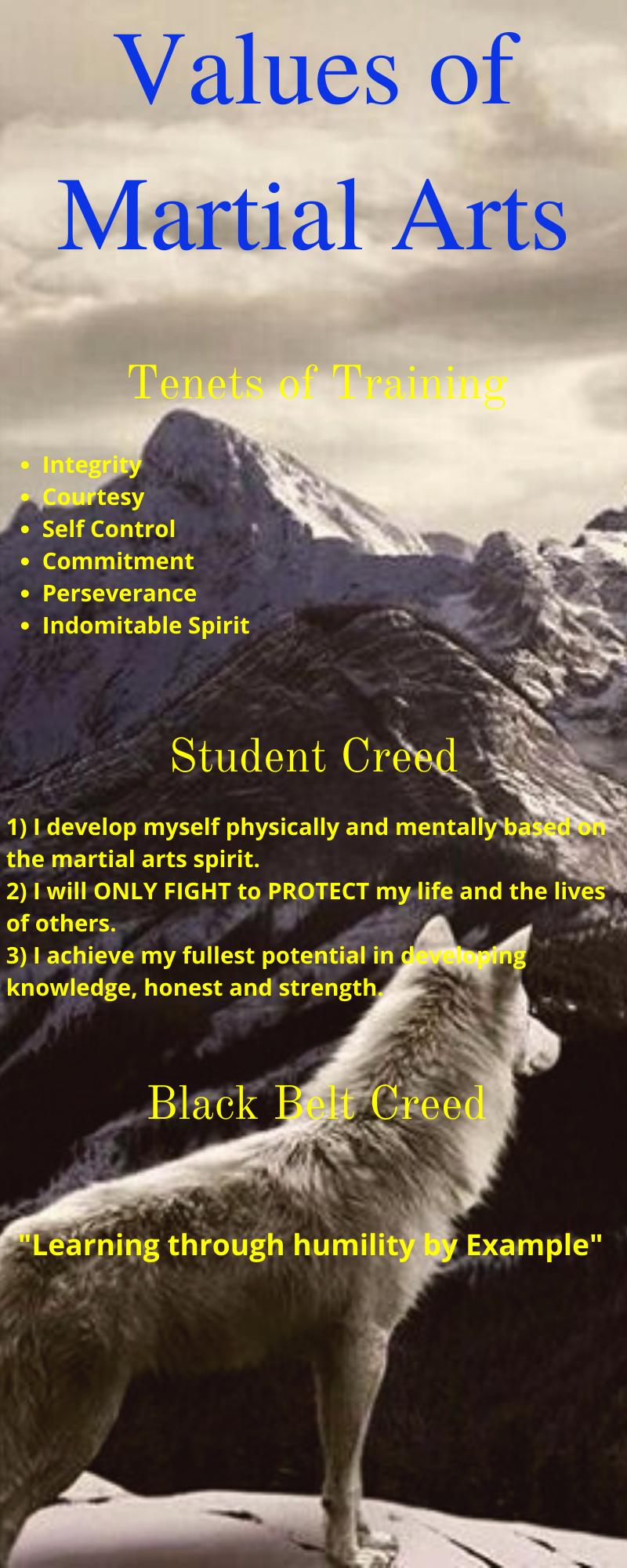 Values of Martial Arts - Importance of Values Today