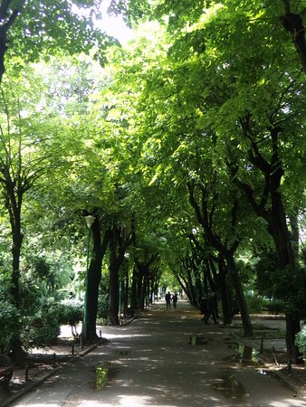 * Cismigiu Gardens Bucharest