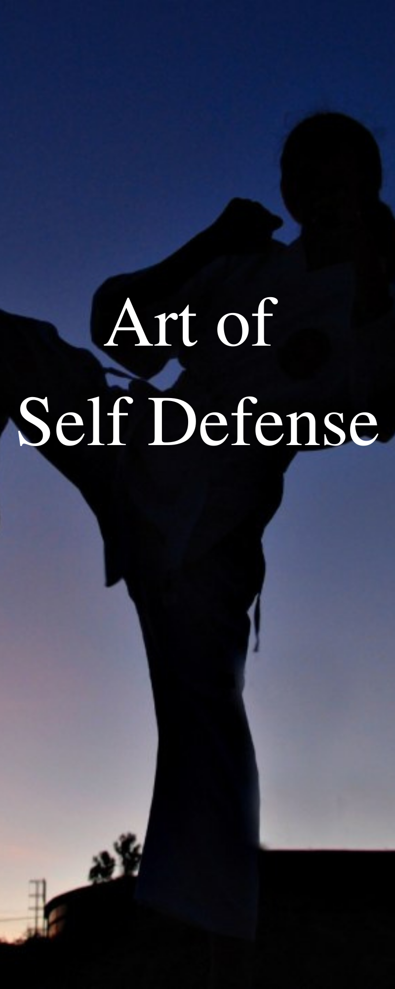 the art of self defense fight