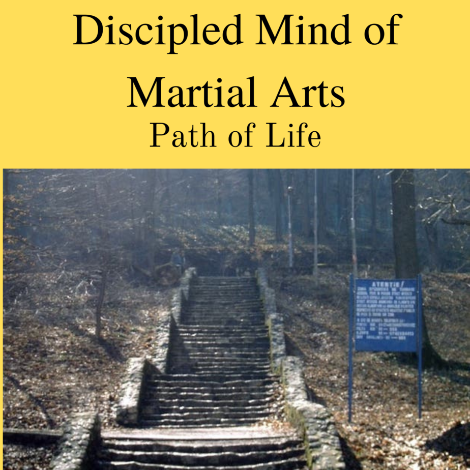 Discipled Mind of Martial Arts Training how Important is it?