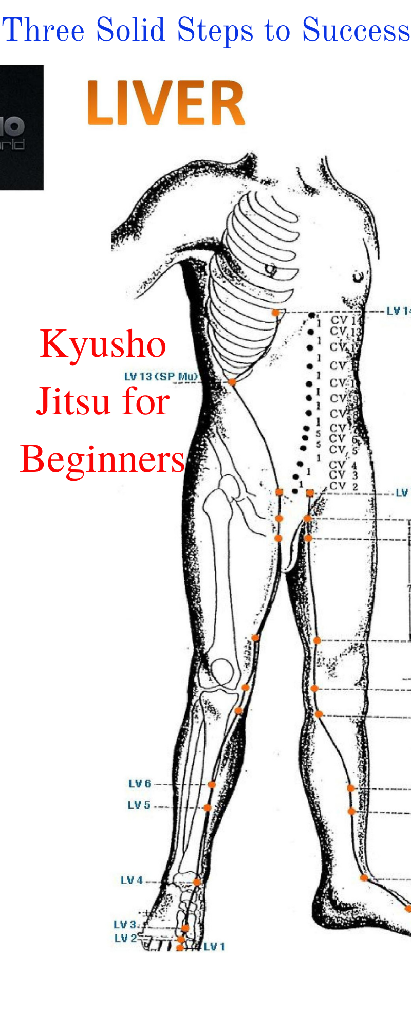 * Kyusho Jitsu for Beginners