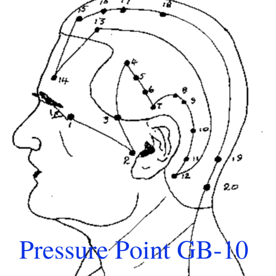 * Pressure Point GB-10