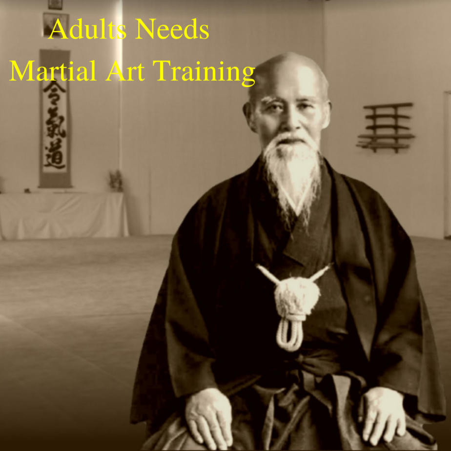 Adults Needs Martial Art Training in their lives today