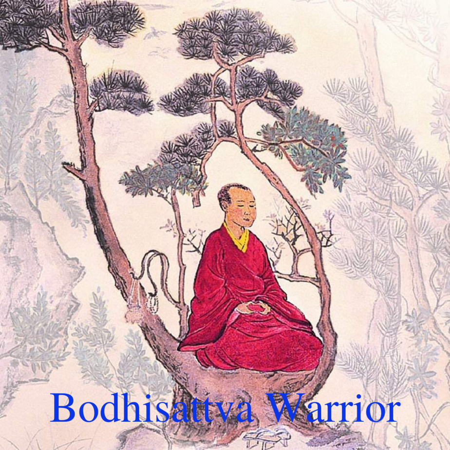 Bodhisattva Warrior - The Ancient Path in Modern Times