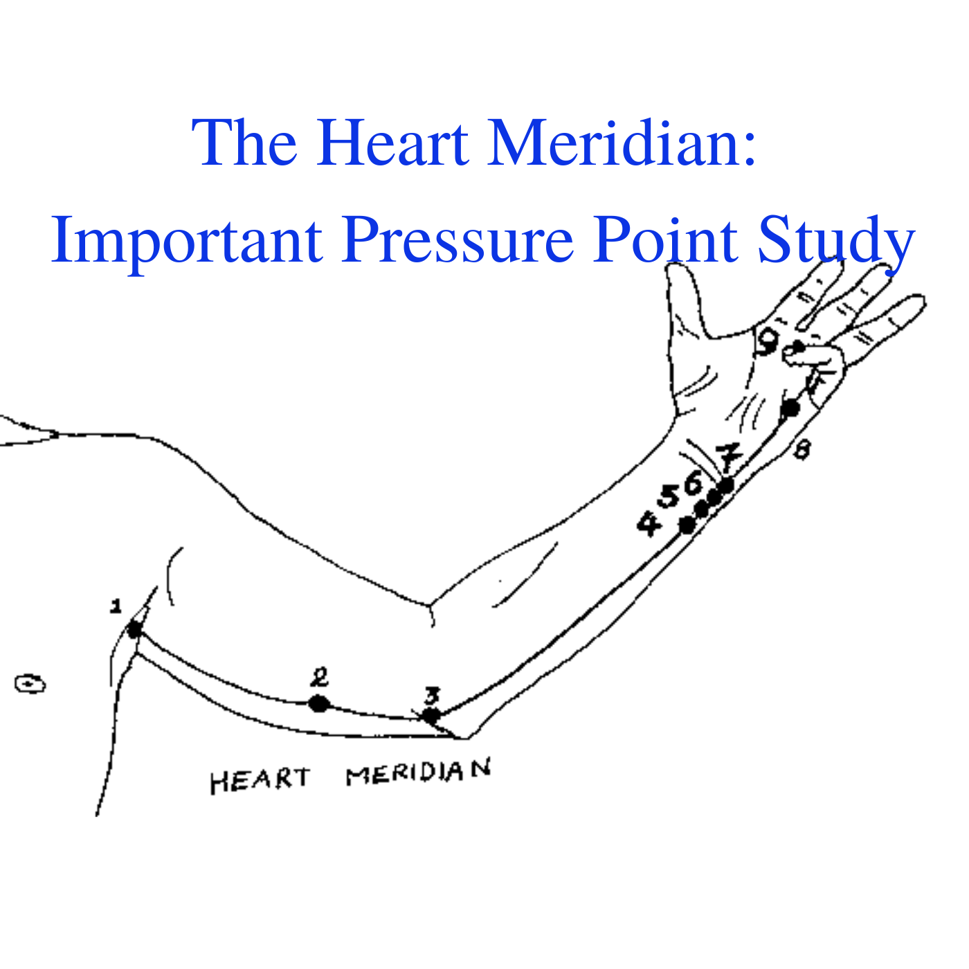 * The Heart Meridian