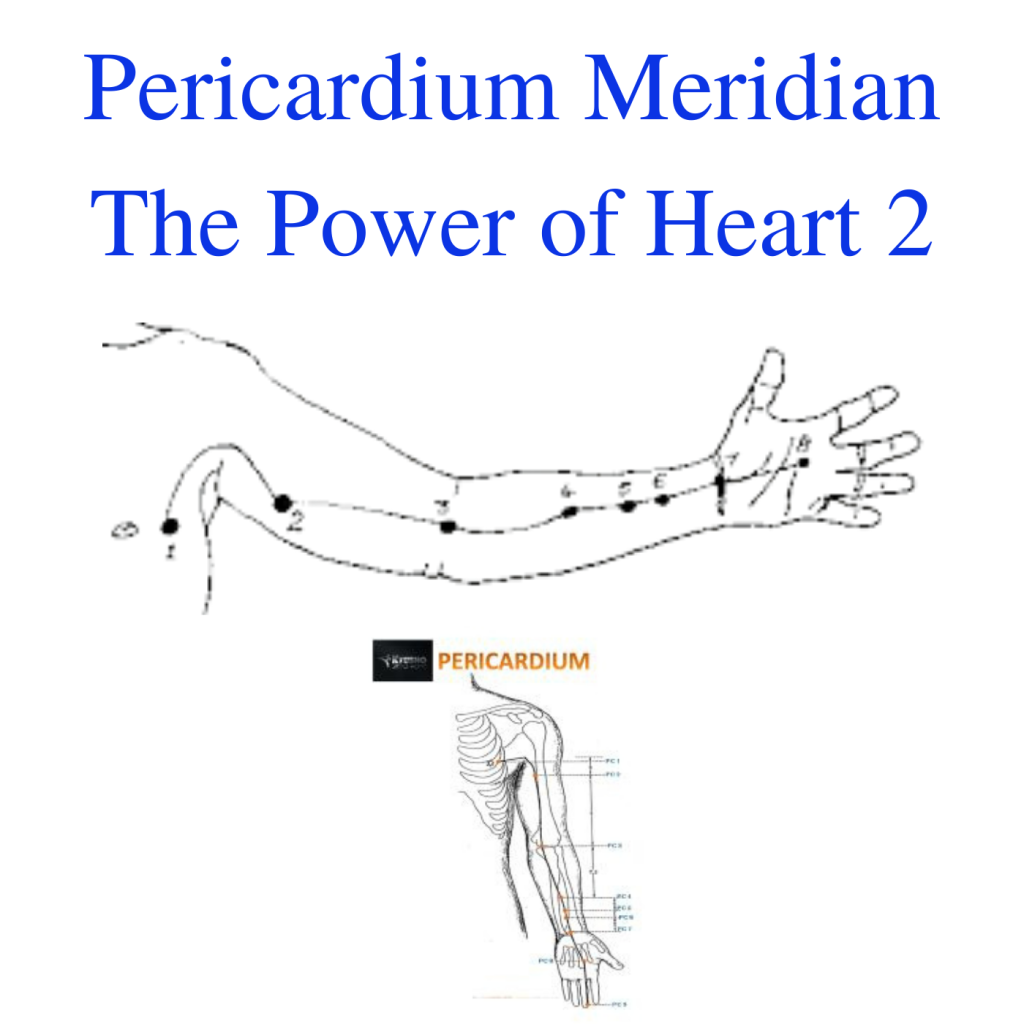 * Pericardium Meridian