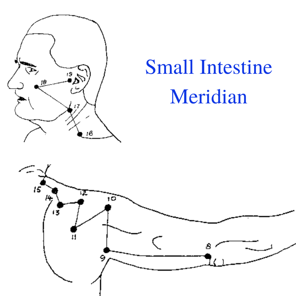 * Small Intestine Meridian