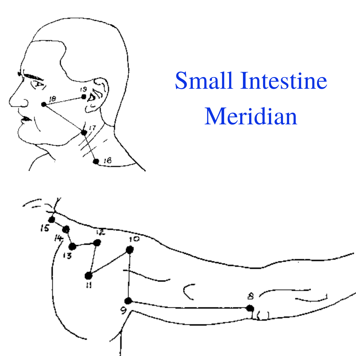 Small Intestine Meridian Create Fire In The Belly