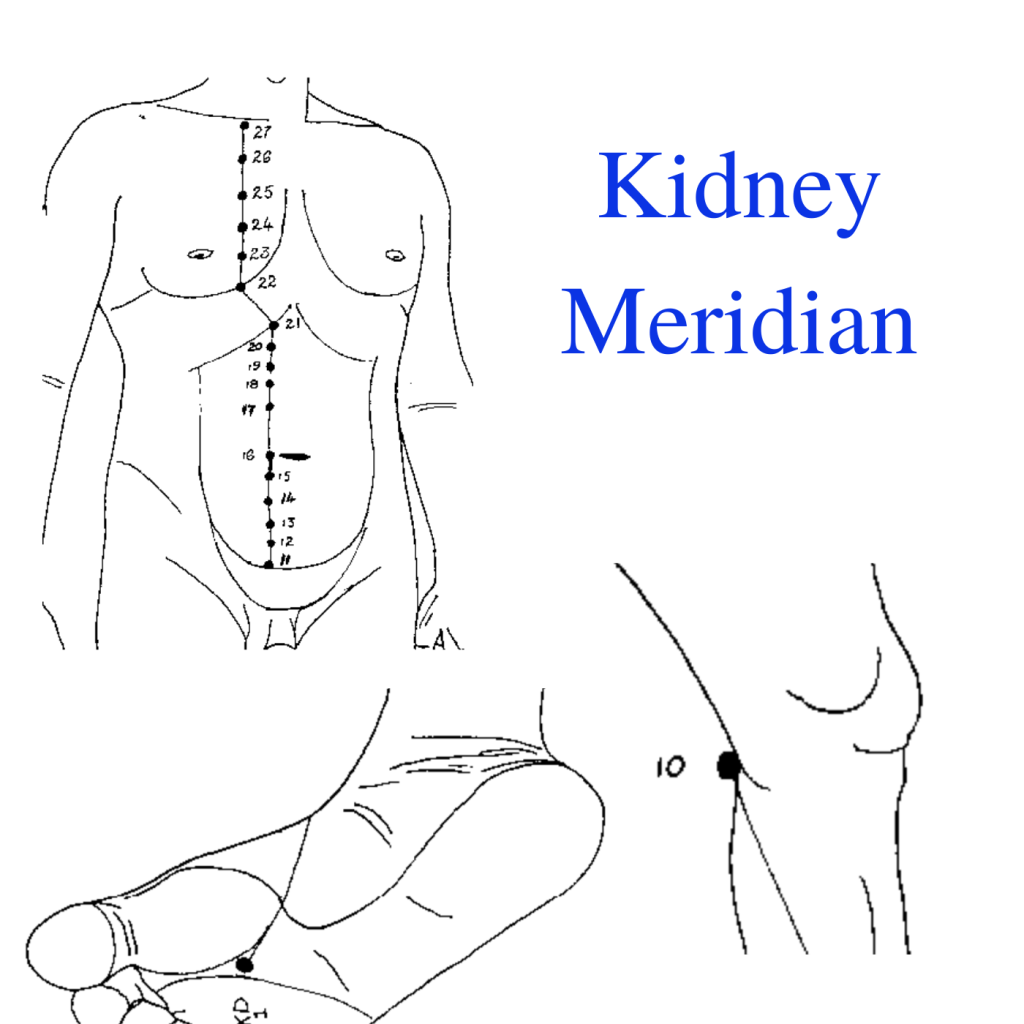 * Kidney Meridian