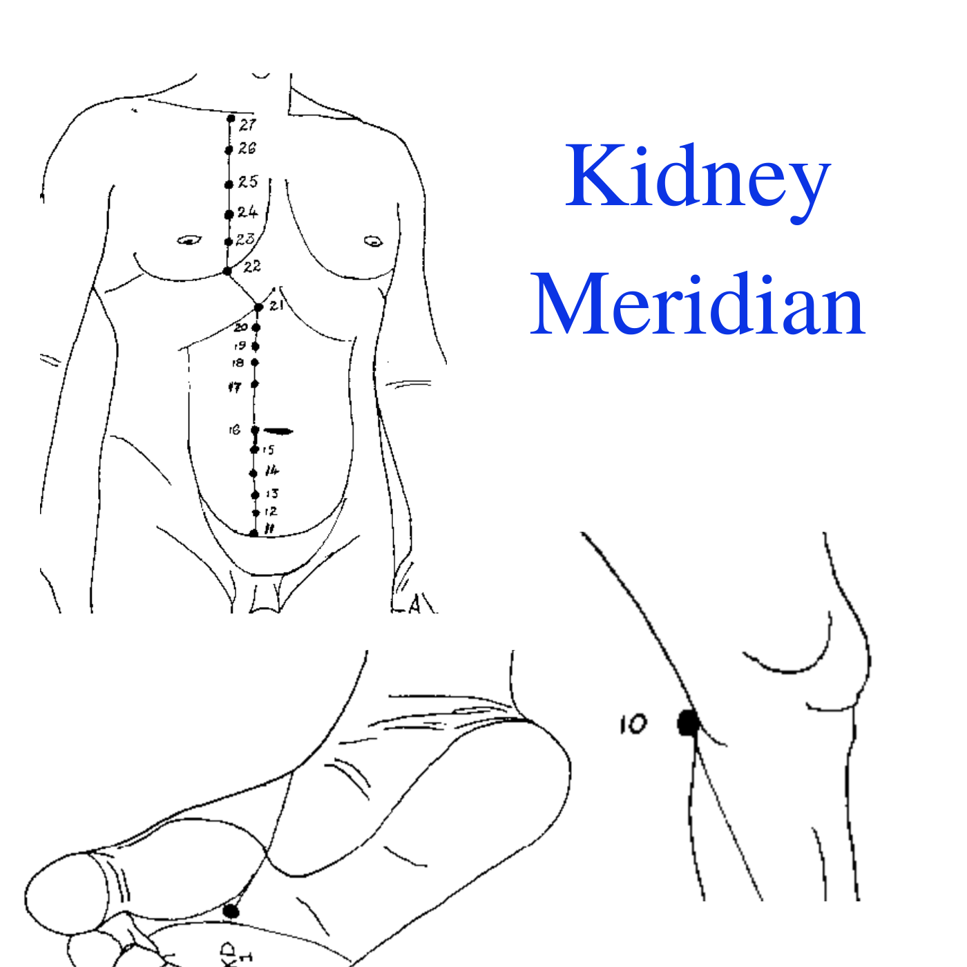 kidney-meridian-affect-the-water-balance-of-the-body