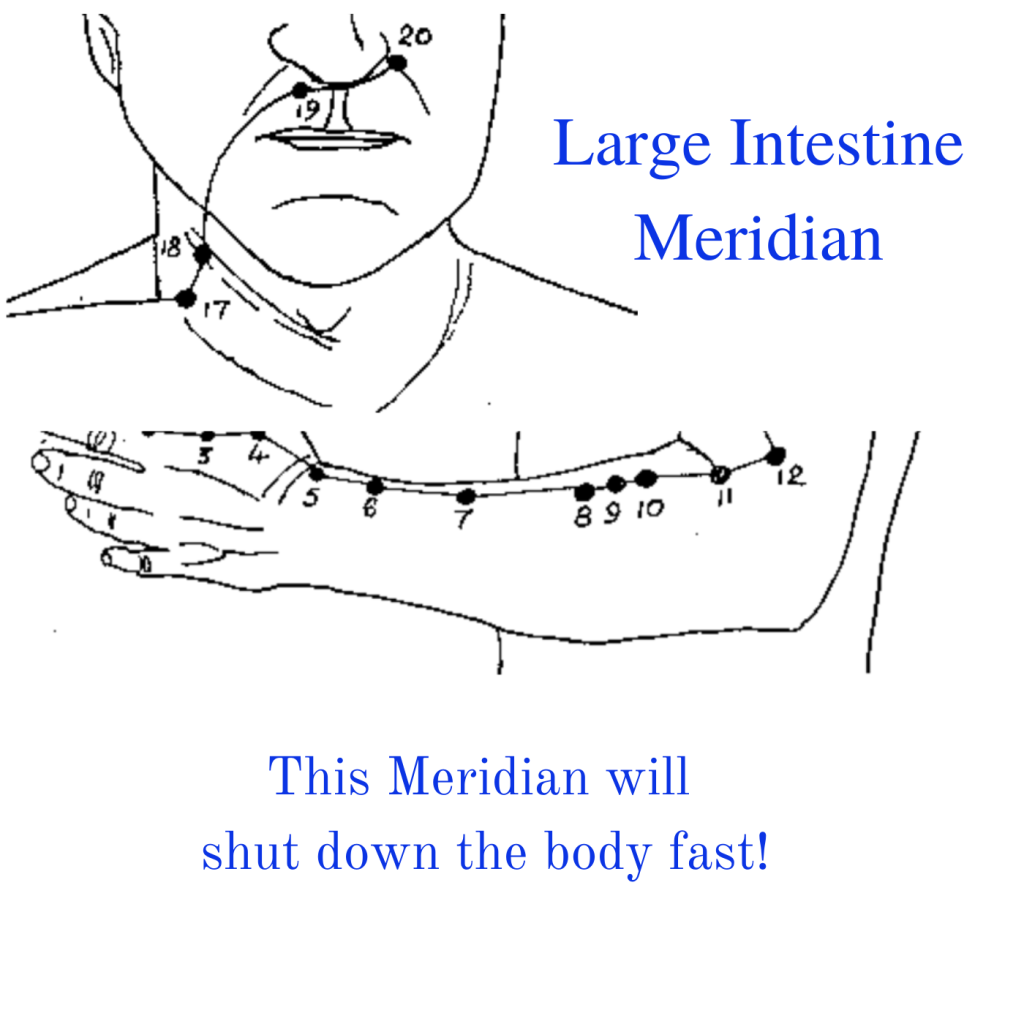* Large Intestine Meridian
