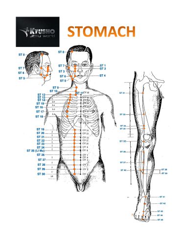 The Stomach Meridian Is A Highly Volatile Meridian