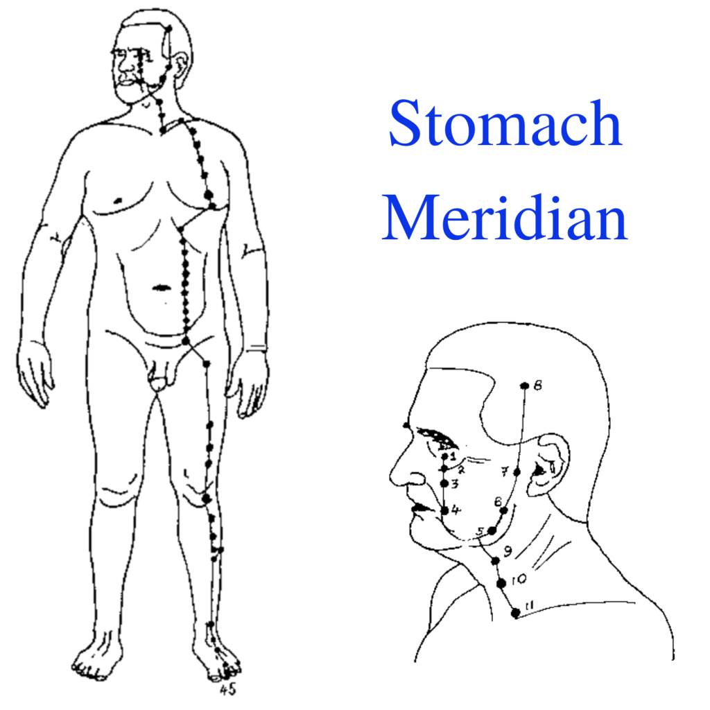 * Stomach Meridian