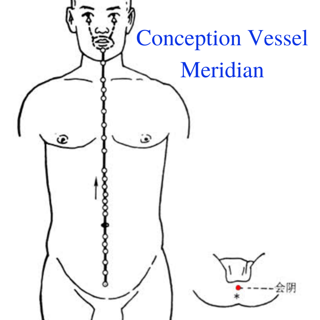 * Conception Vessel Meridian