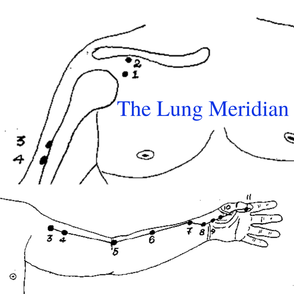 * Lung Meridian