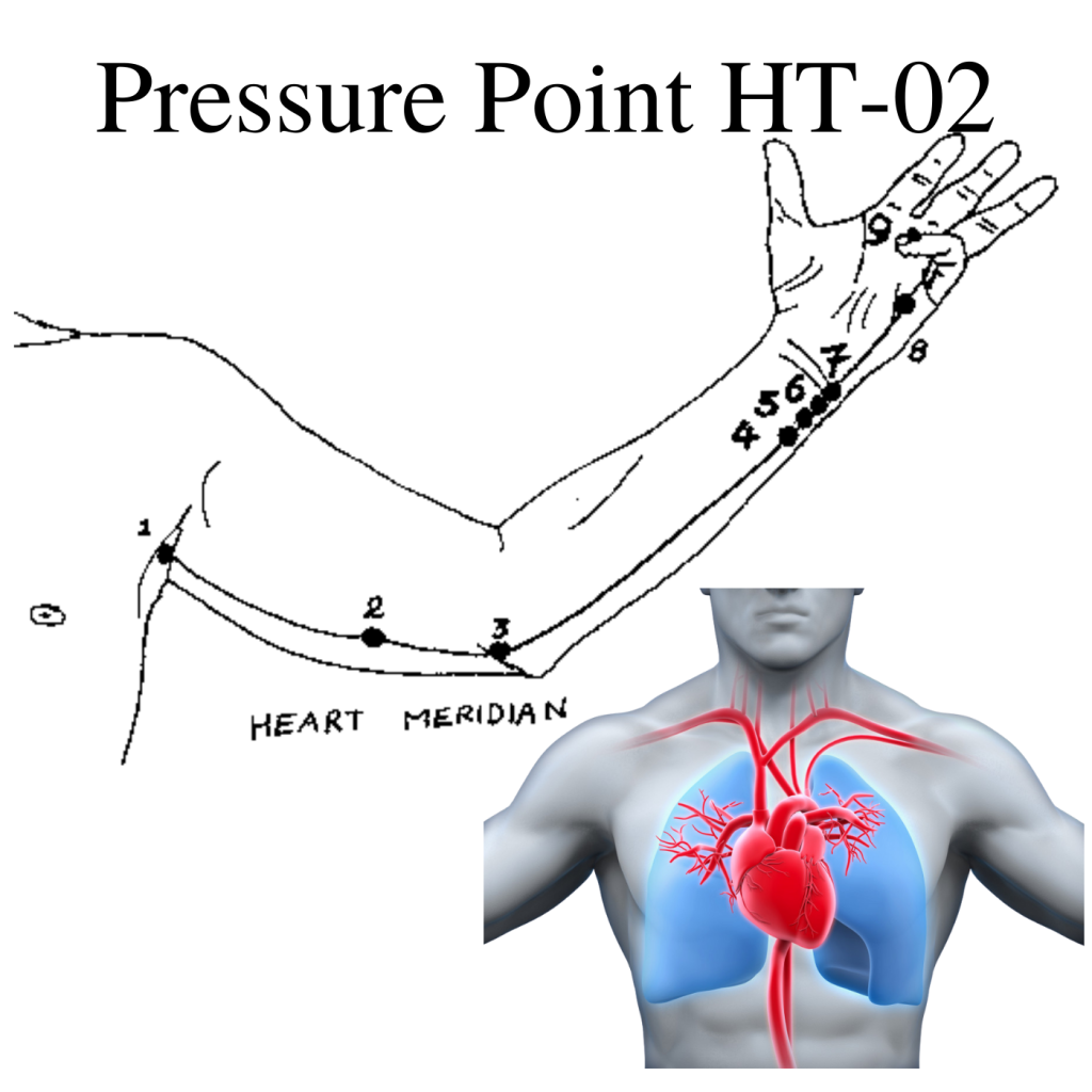 * Pressure Point HT-02