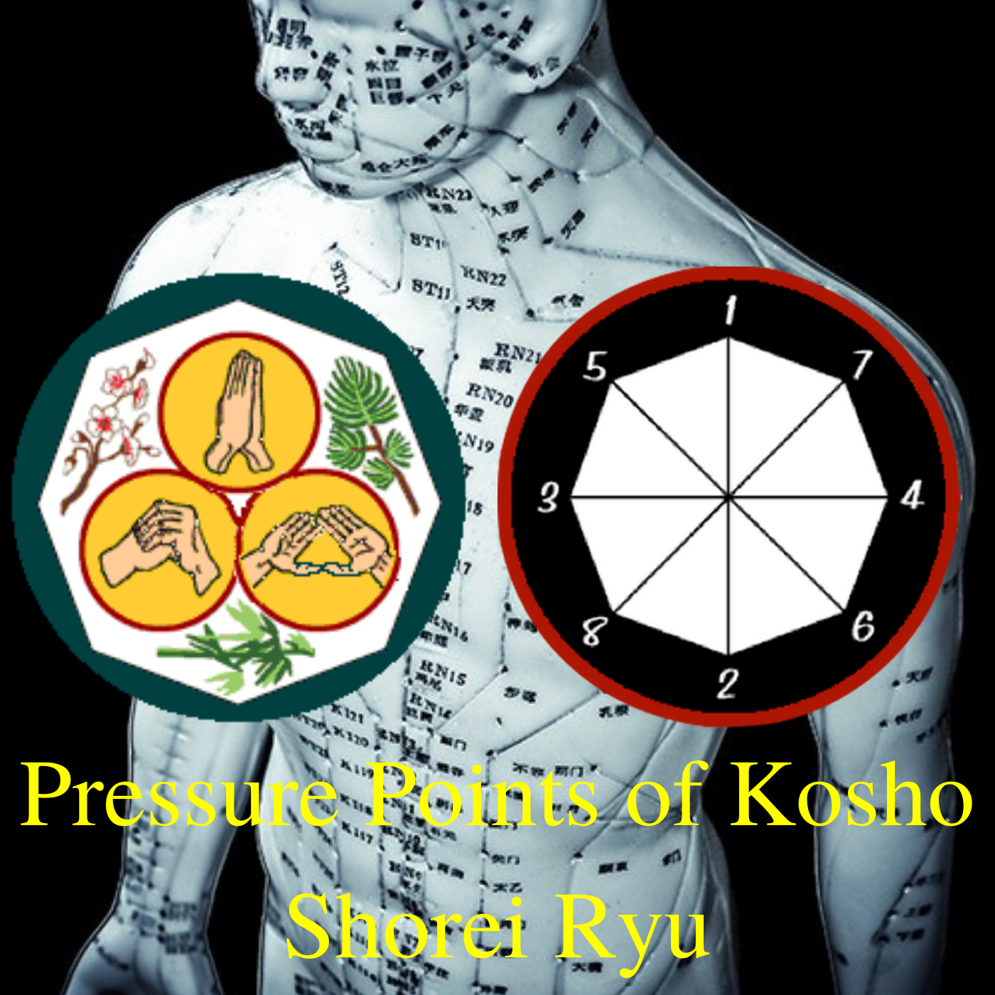 * Pressure Points of Kosho Shorei Ryu