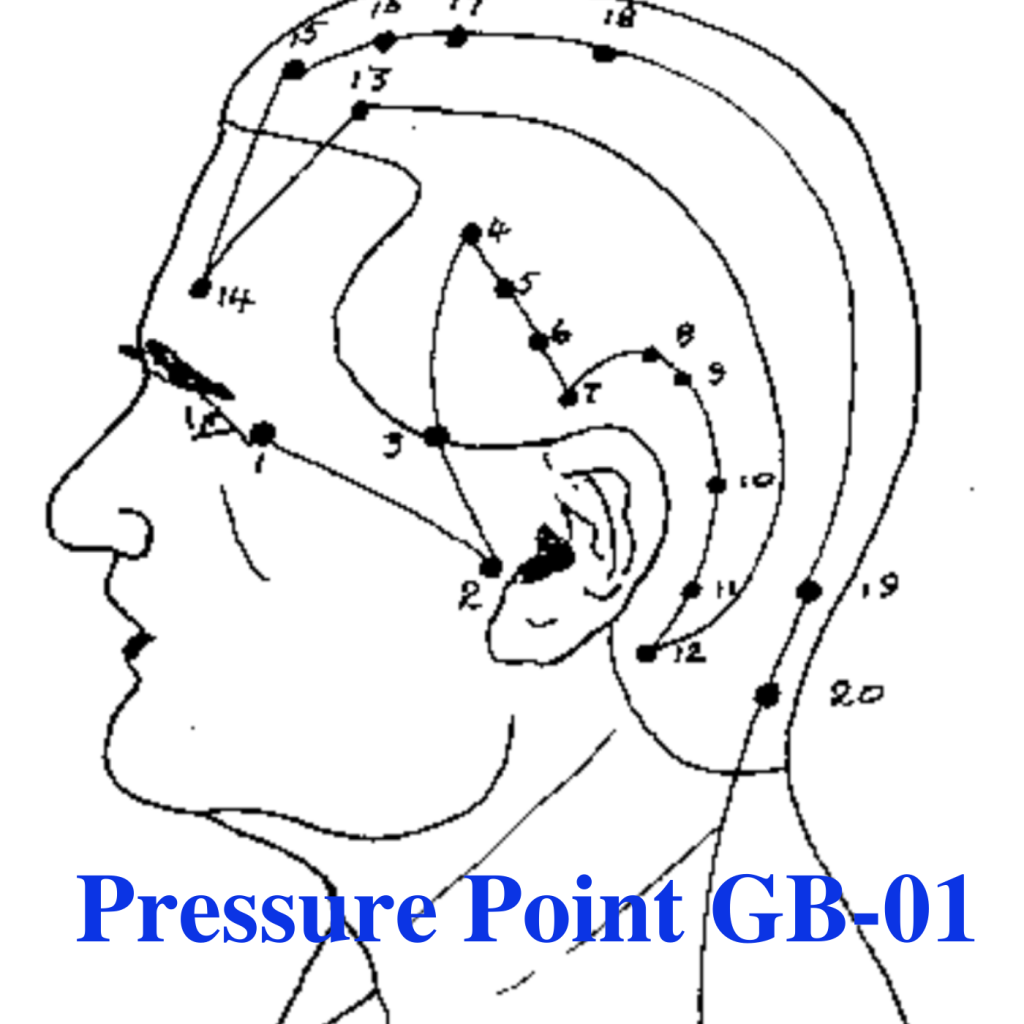 * Pressure Point GB-01