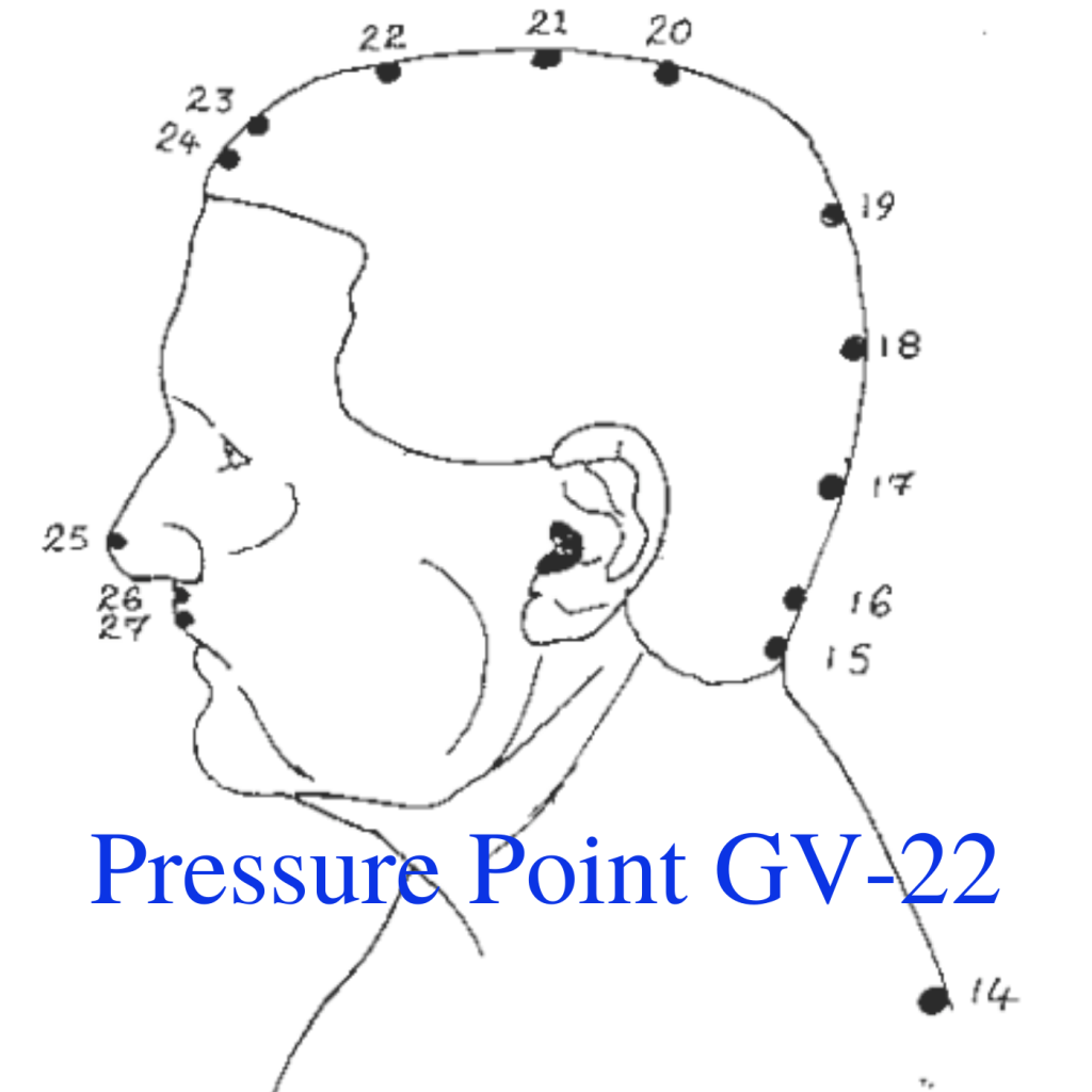 * Pressure Point GV-22