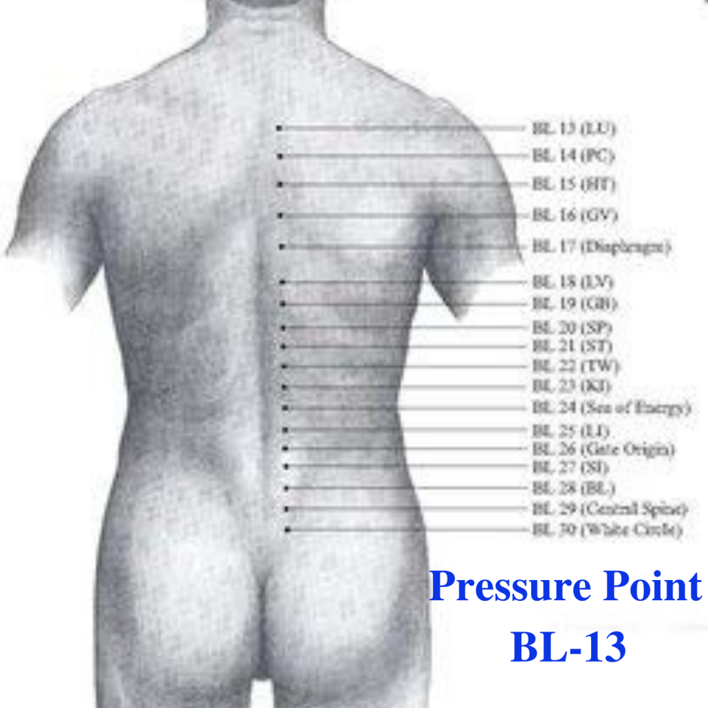 * Pressure Point BL-13