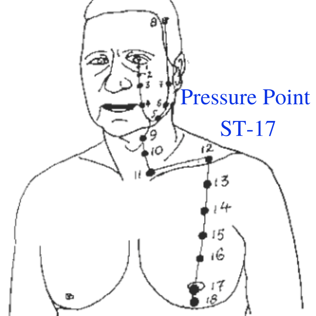 * Pressure Point ST-17