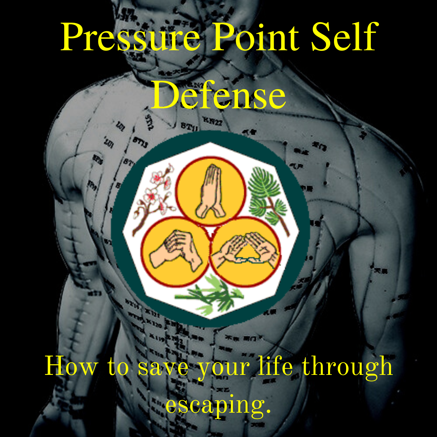 * Pressure Point Self Defense