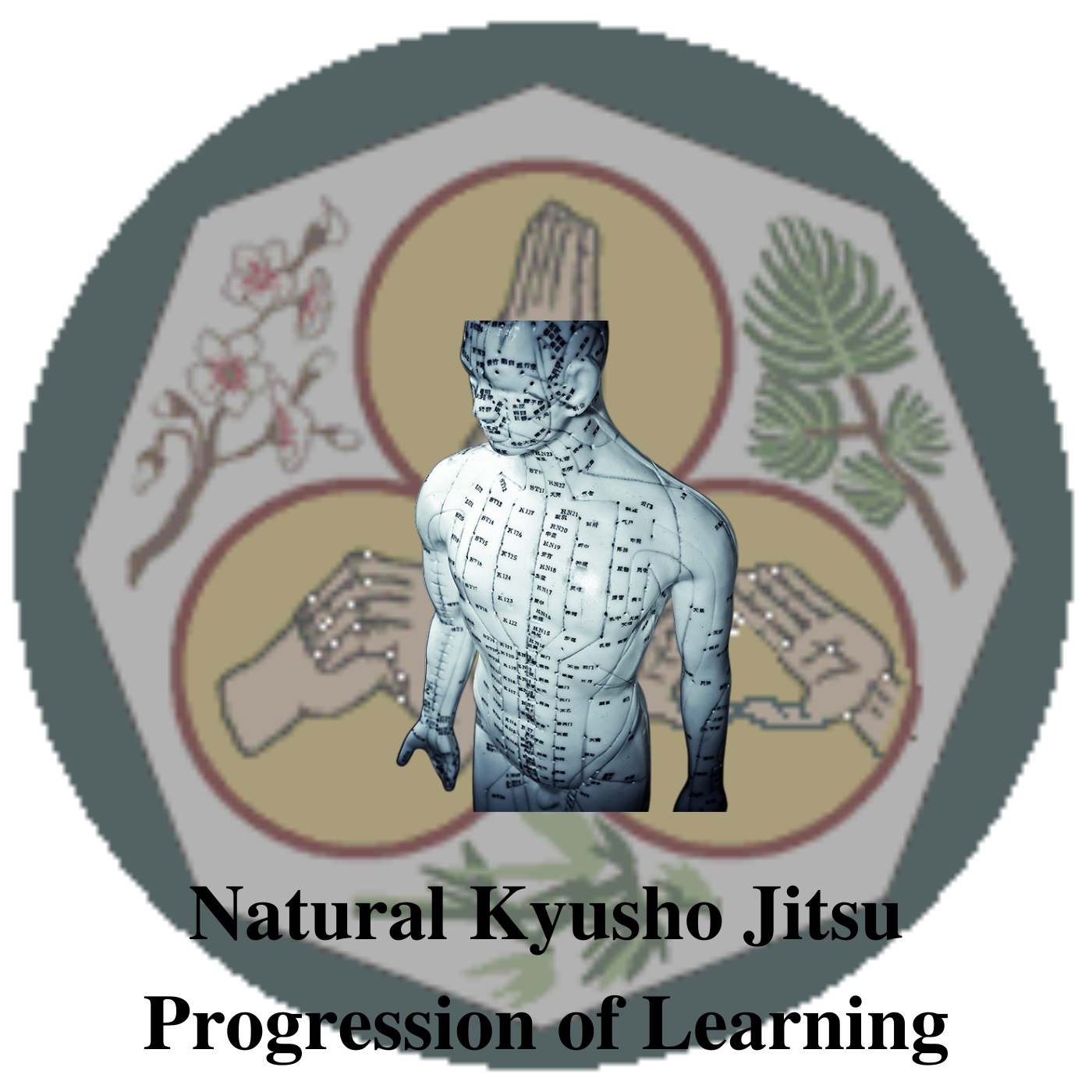 * Natural Kyusho Jitsu Progression of Learning