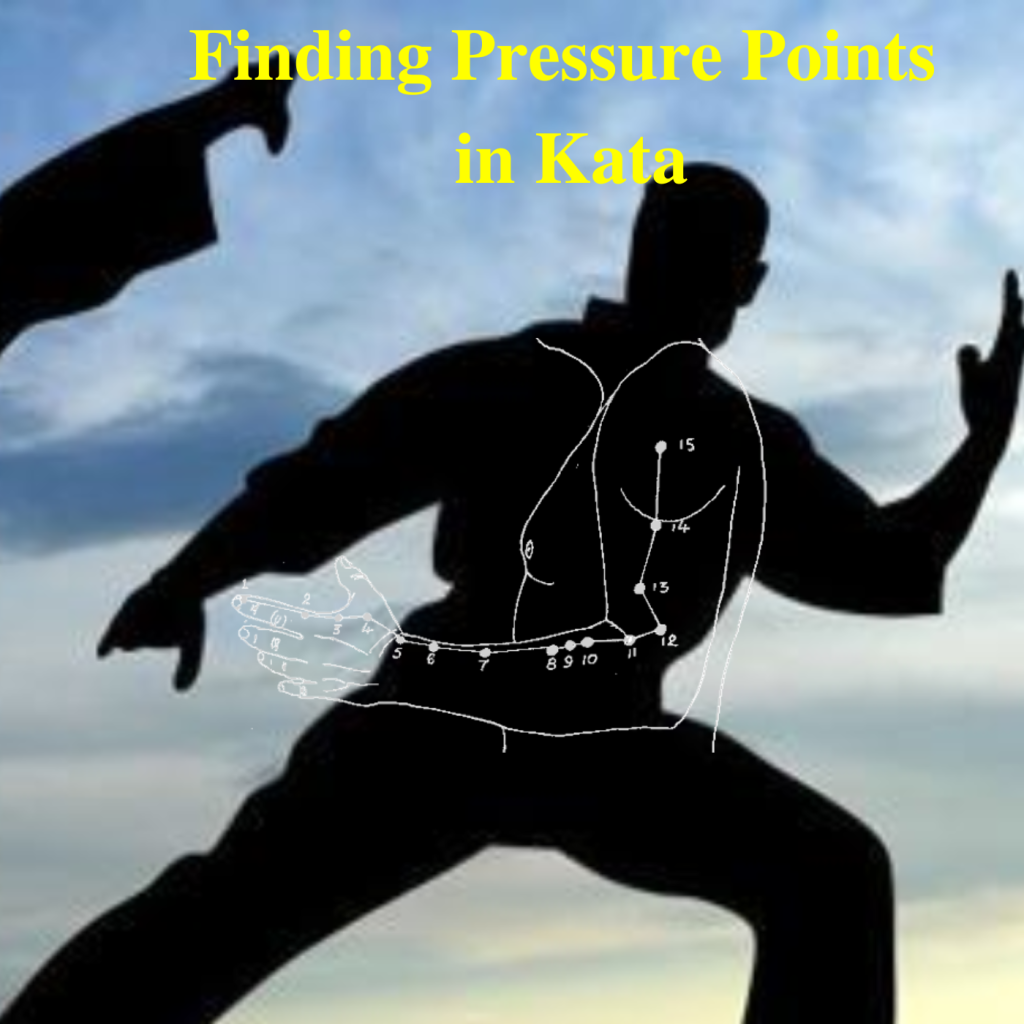 * Finding Pressure Points in Kata
