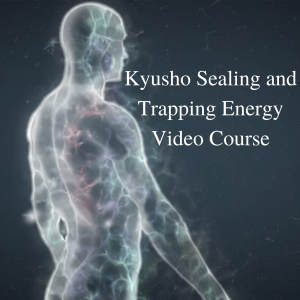 * Kyusho Sealing and Energy Trapping