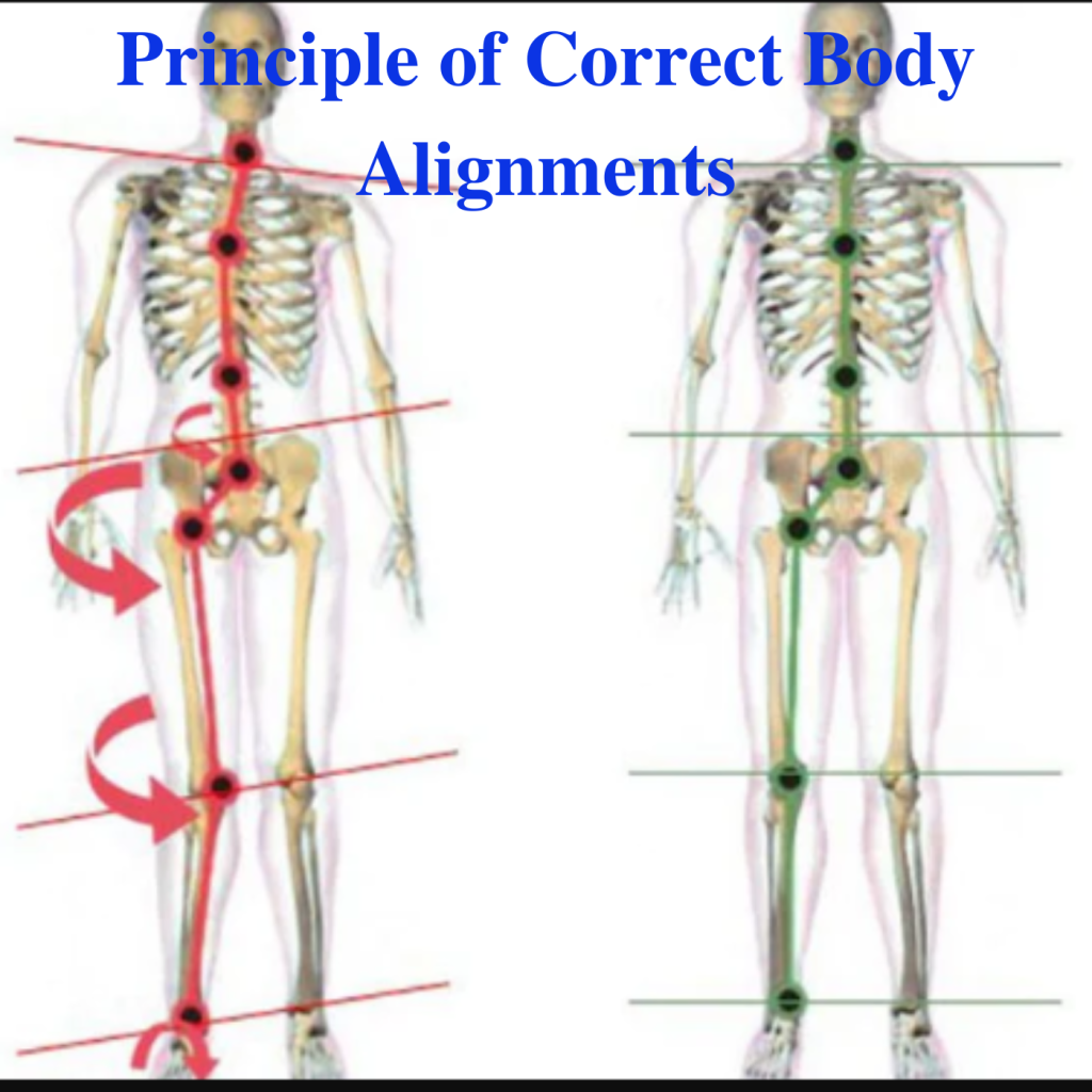 * Principle of Correct Body Alignments