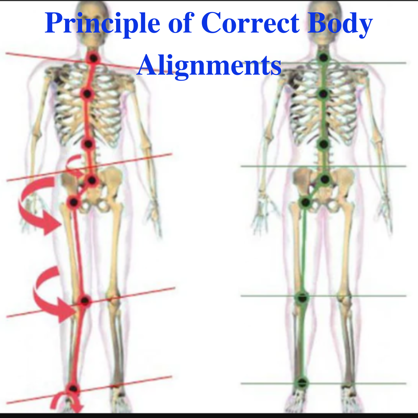 Principle of Correct Body Alignments, What makes important?