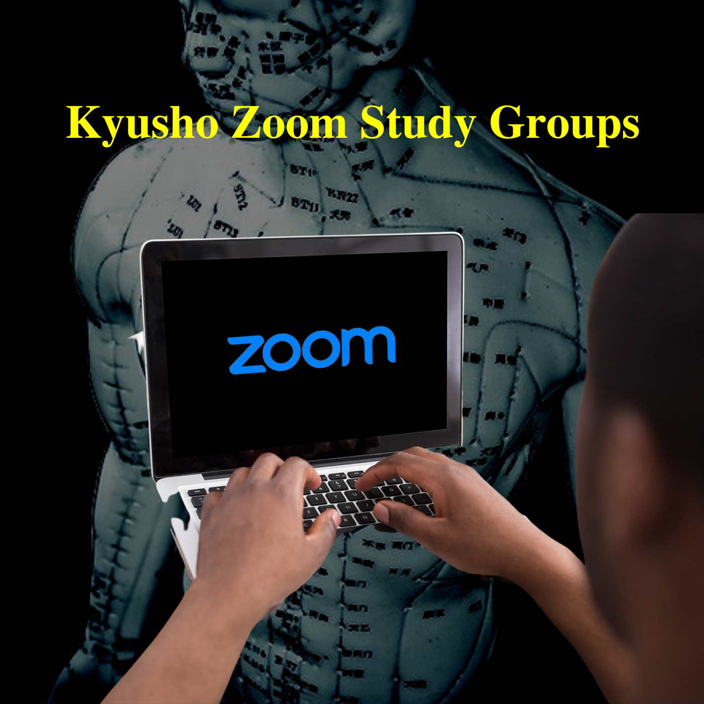 * Kyusho Jitsu Zoom Study Groups