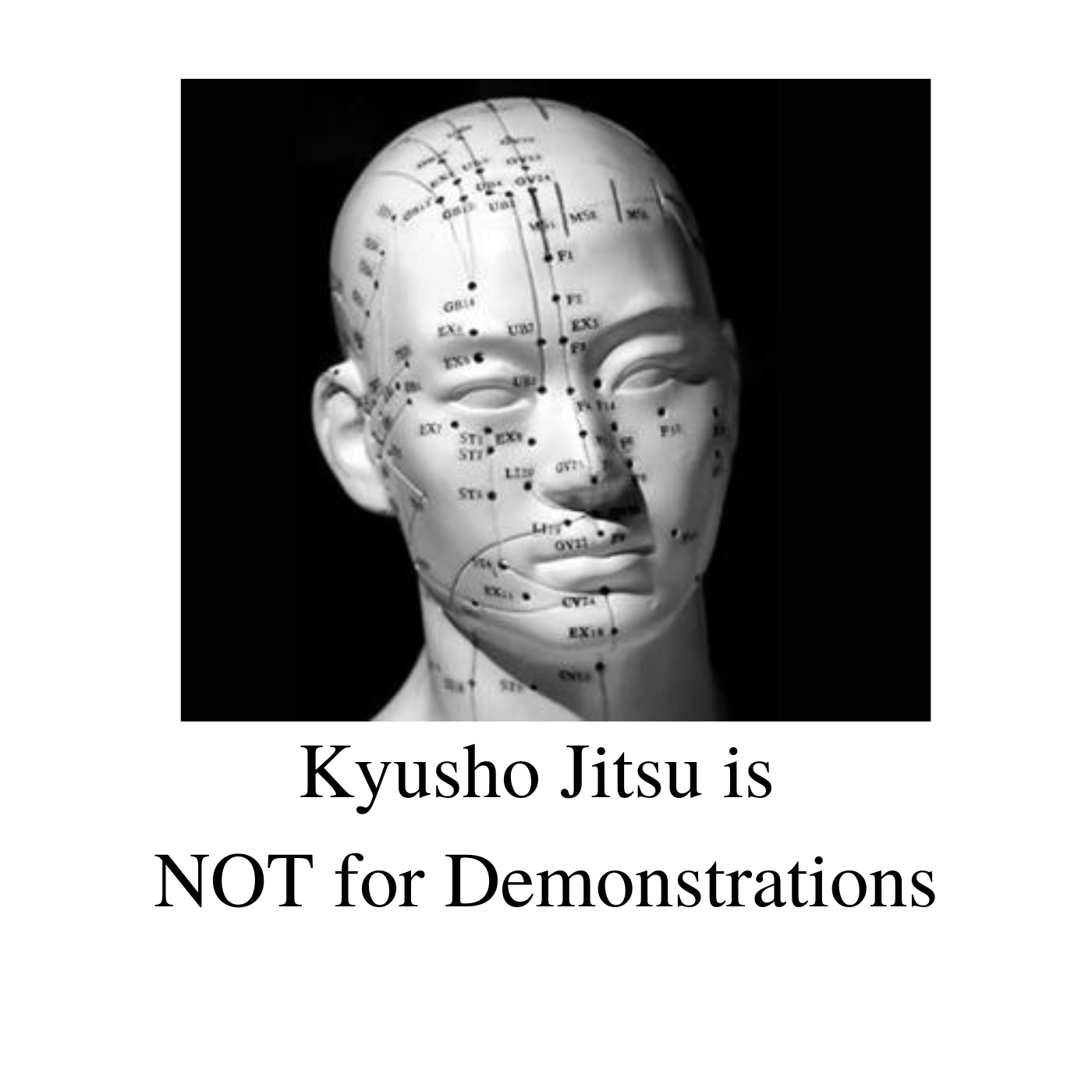 Kyusho Jitsu is NOT for Demonstrations