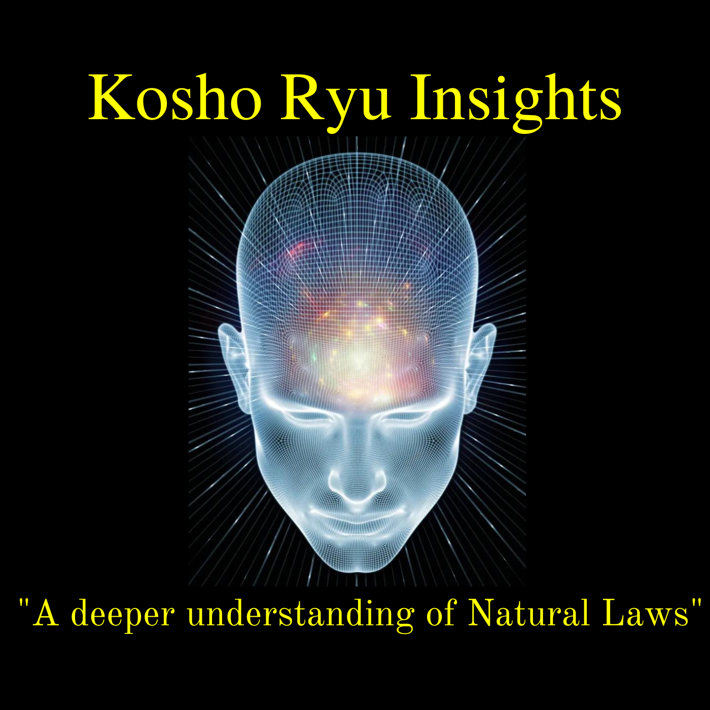 Kosho Ryu Insights
