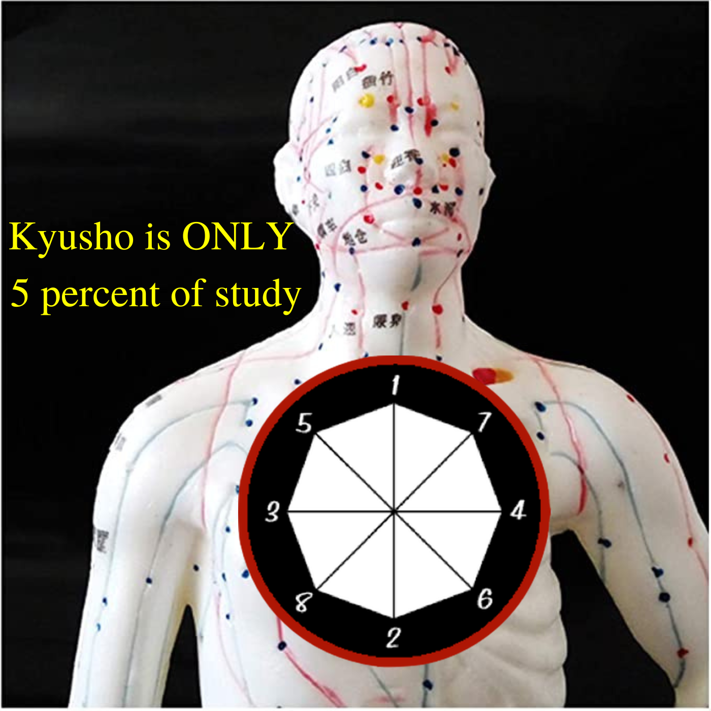 Kyusho is ONLY 5 percent of study