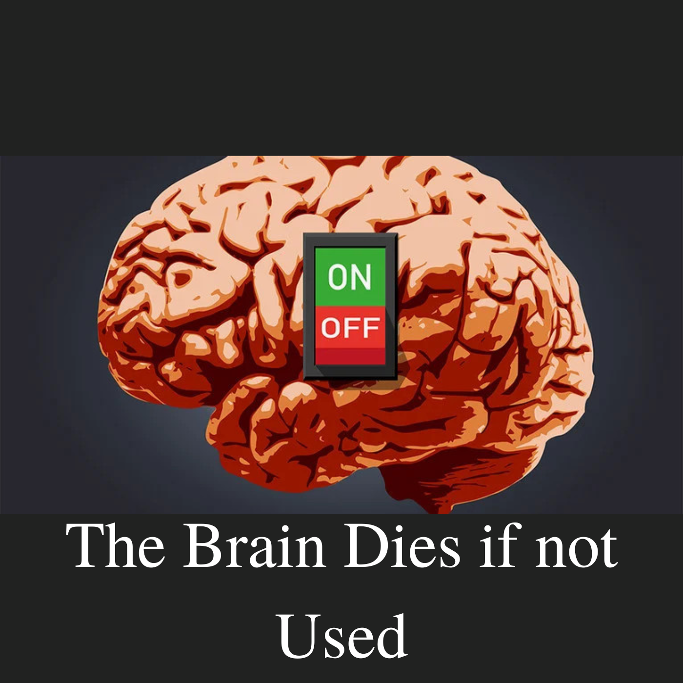 The Brain Dies if not Used